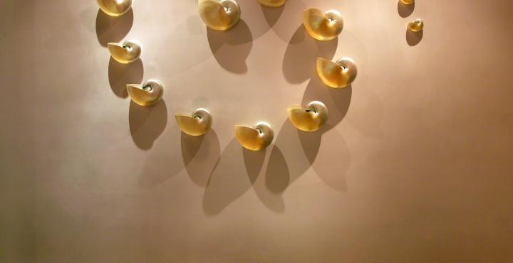 The Park Chennai Hotell Exteriör bild Detail of the Golden Snail